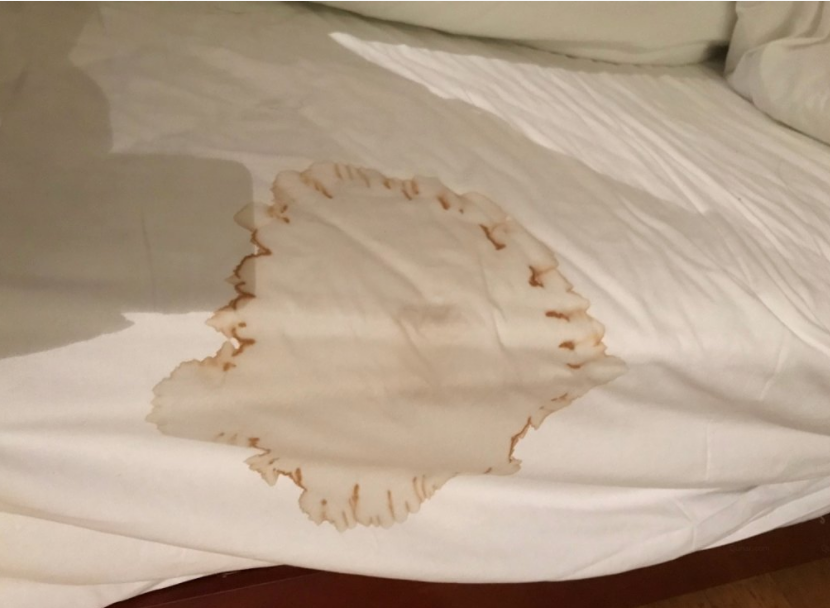 微信截圖_20230225161233.png 微信截圖_20230225161233.png